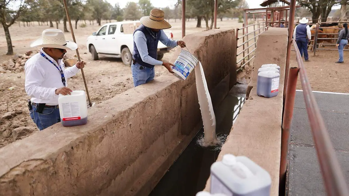 01 Comunicado Ganado 04
