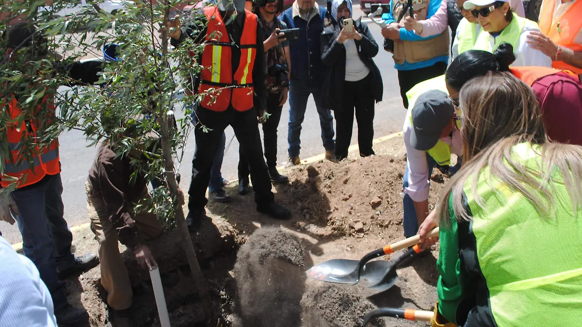 Plantación simbólica de un árbol
