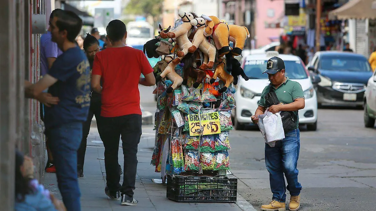 WhatsApp Image 2026-03-10 at 16.36.49