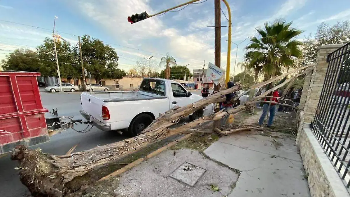 WhatsApp Image 2026-03-11 at 5.02.16 PM