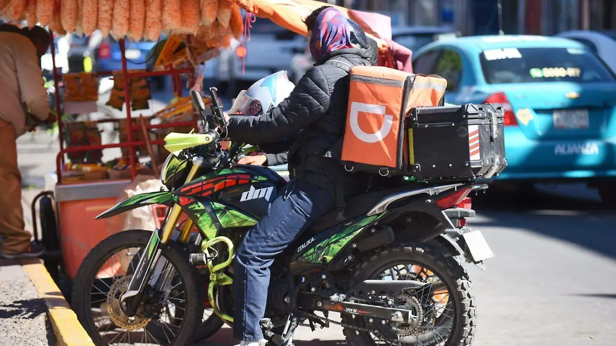 WhatsApp Image 2026-03-11 at 16.08.09