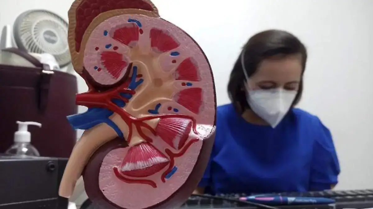 Captura de pantalla 2026-03-12 143204