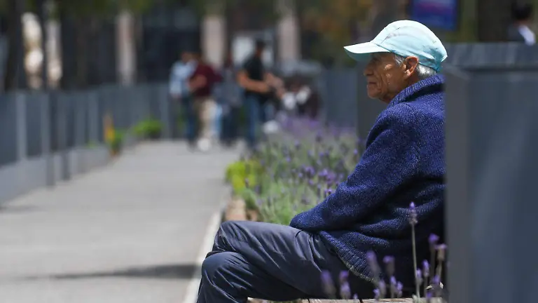 1045261_Día del Abuelo_web