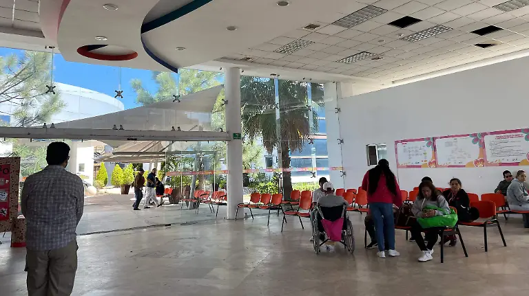 WhatsApp Image 2026-03-12 at 3.50.17 PM