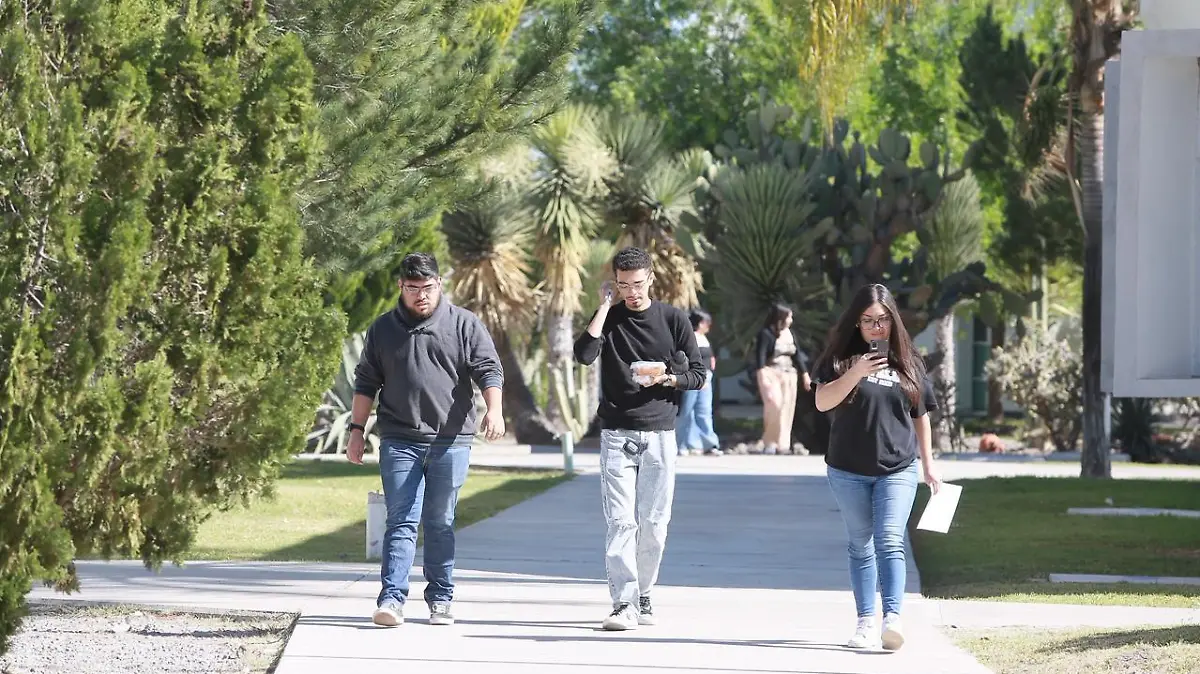 WhatsApp Image 2026-03-13 at 00.54.23 (2)