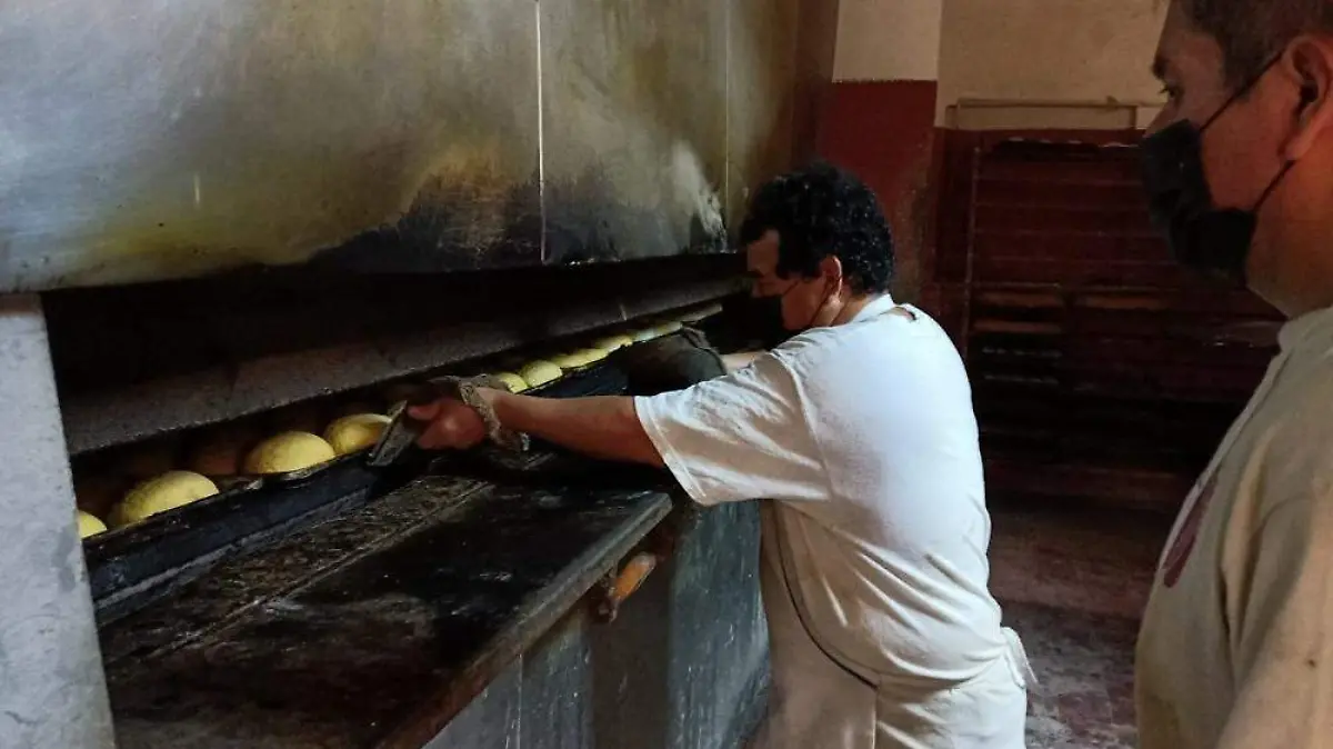 WhatsApp Image 2026-03-13 at 6.18.20 PM