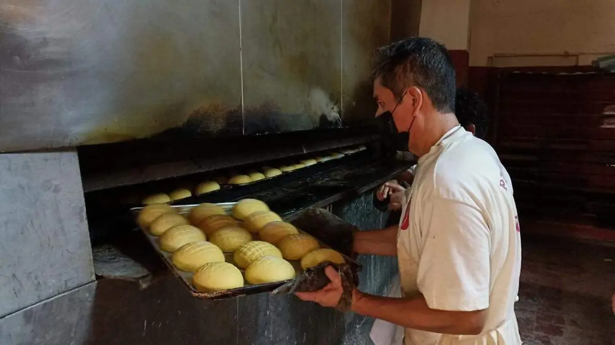 Panaderia / horno 