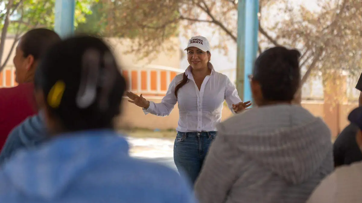 WhatsApp Image 2026-03-13 at 6.49.07 PM (2)