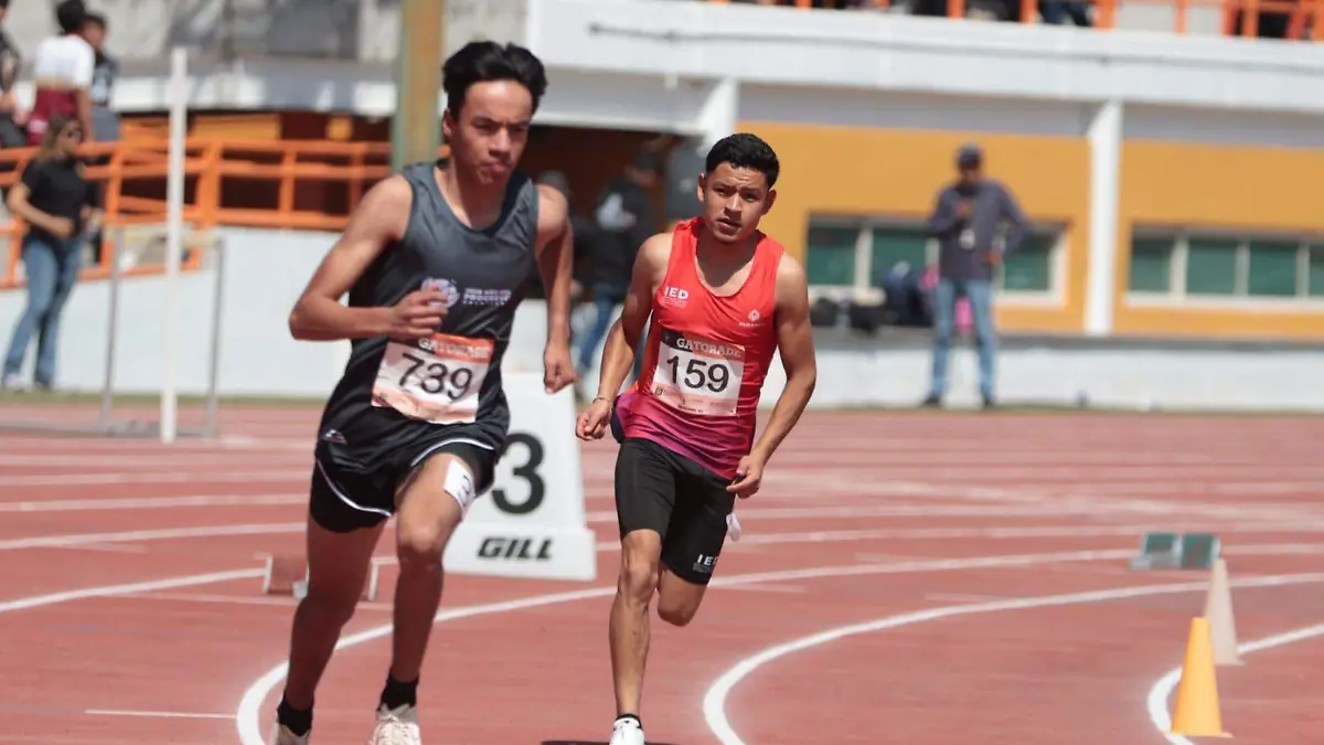 WhatsApp Image 2026-03-13 at 9.48.21 PM