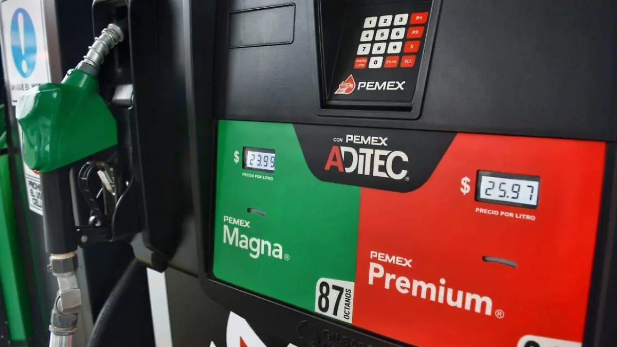 WhatsApp Image 2026-03-14 at 17.17.44