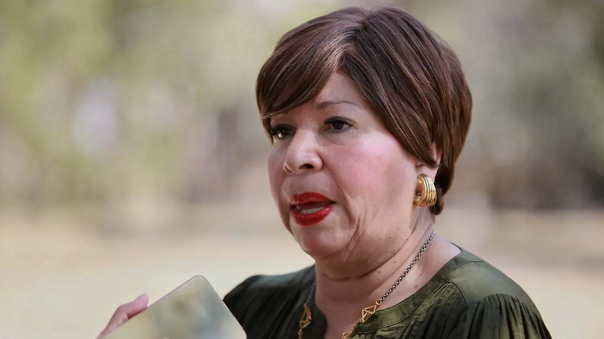 WhatsApp Image 2026-03-14 at 17.31.46