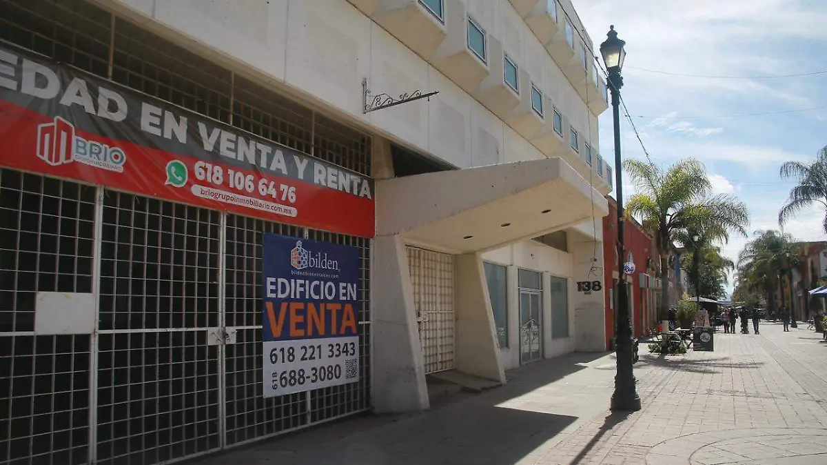 WhatsApp Image 2026-03-14 at 18.30.52 (1)