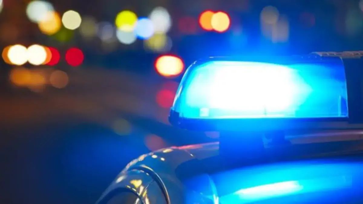 Captura de pantalla 2026-03-15 145539