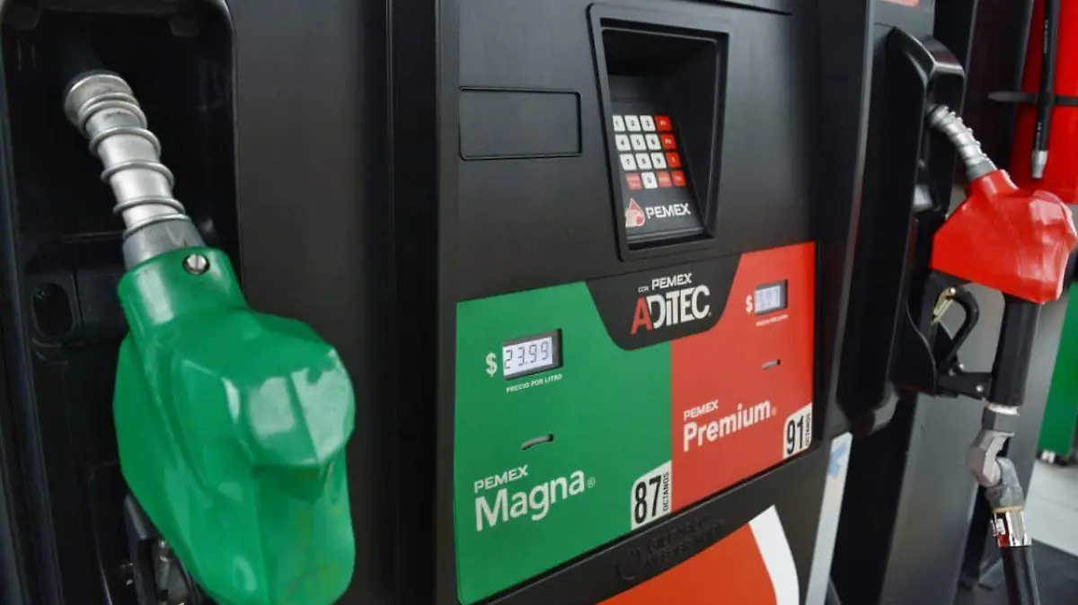 WhatsApp Image 2026-03-16 at 7.00.38 PM