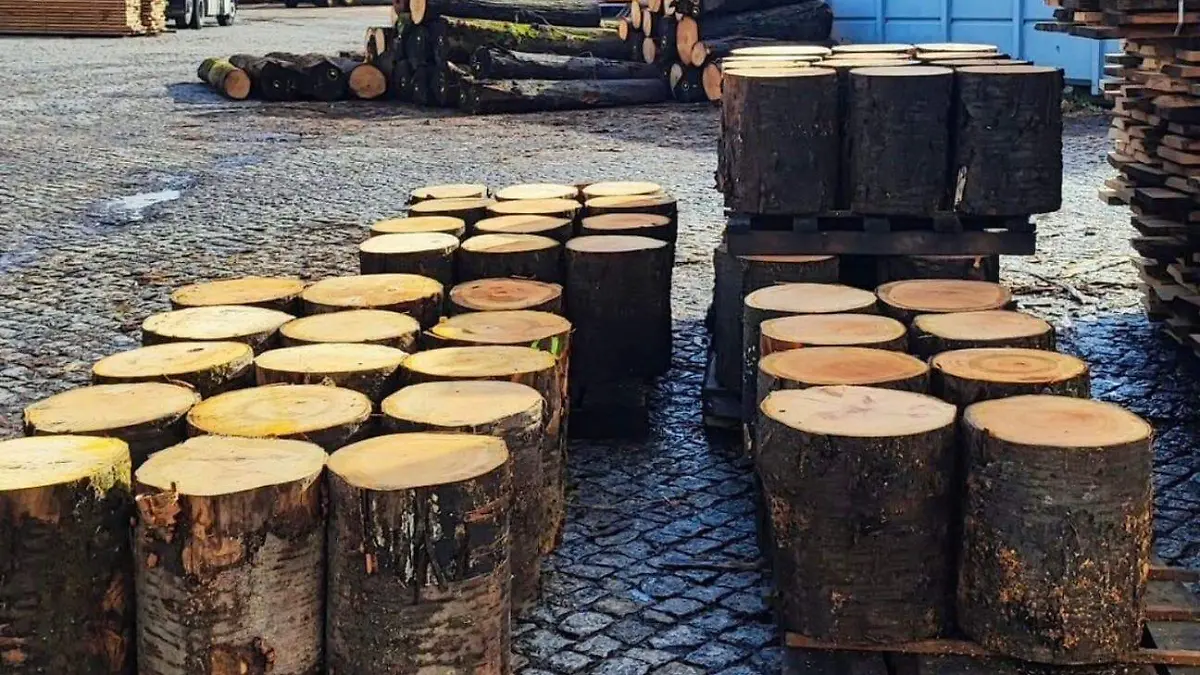 WhatsApp Image 2026-03-17 at 15.16.15 (1)