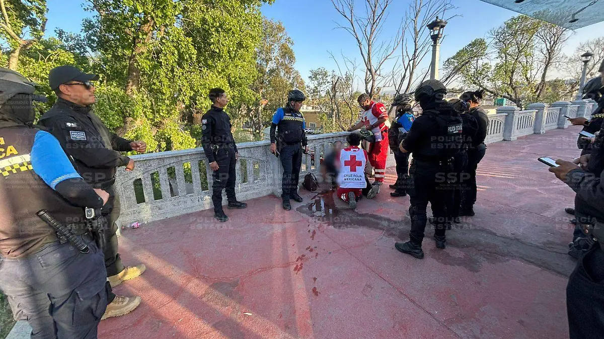 WhatsApp Image 2026-03-18 at 11.30.44 AM