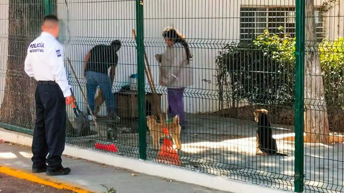 02 Comunicado Maltrato 01