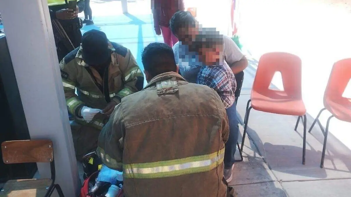 WhatsApp Image 2026-03-19 at 12.02.25 PM