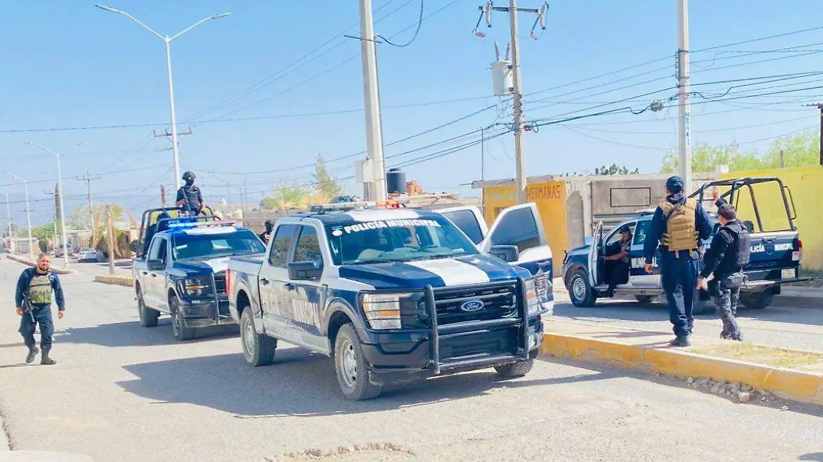 WhatsApp Image 2026-03-19 at 1.03.46 PM