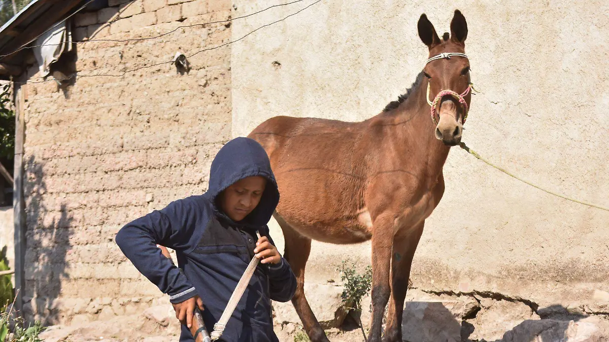 810329_Niños armados CRAC_web