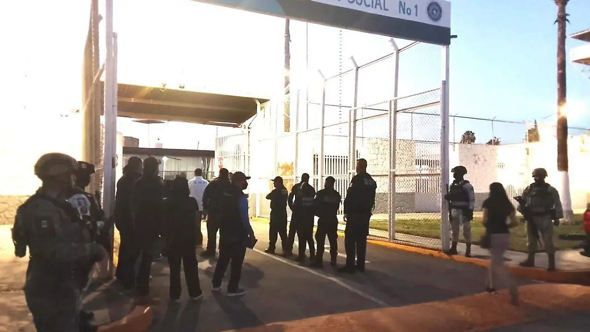 WhatsApp Image 2026-03-20 at 1.31.53 PM