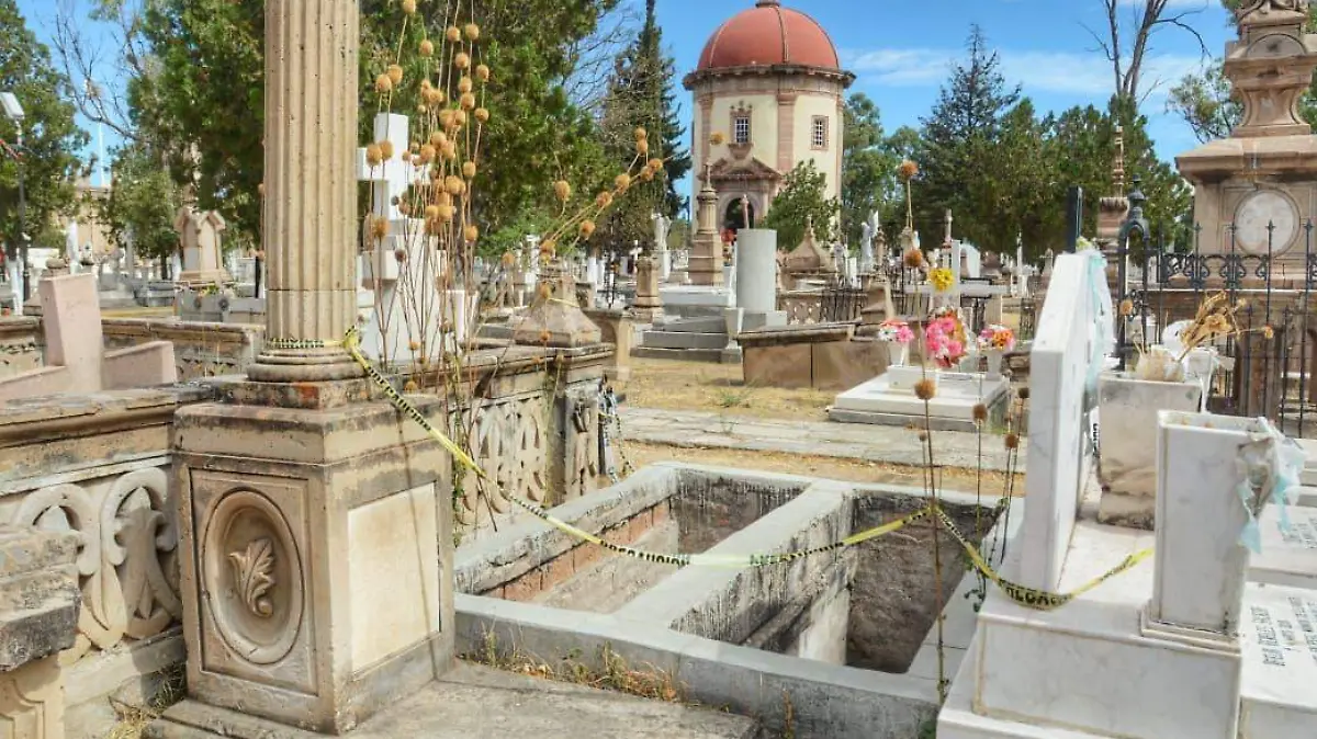 WhatsApp Image 2026-03-22 at 2.29.23 PM