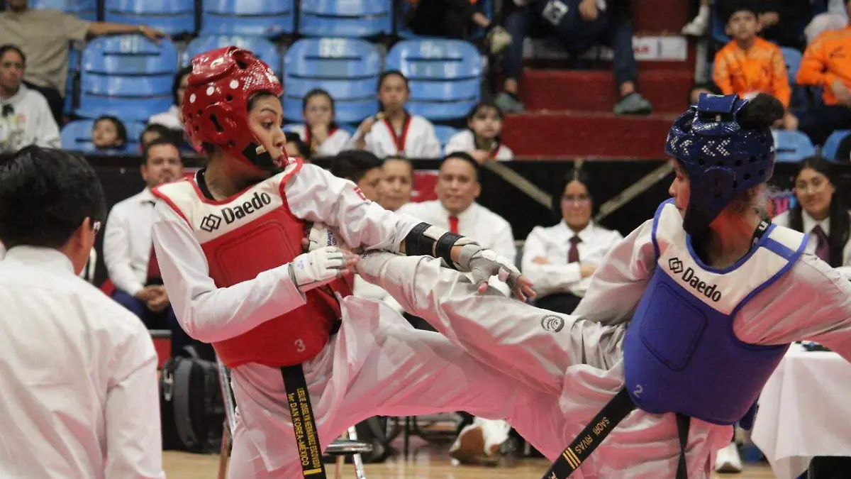 WhatsApp Image 2026-03-22 at 7.07.19 PM (1)