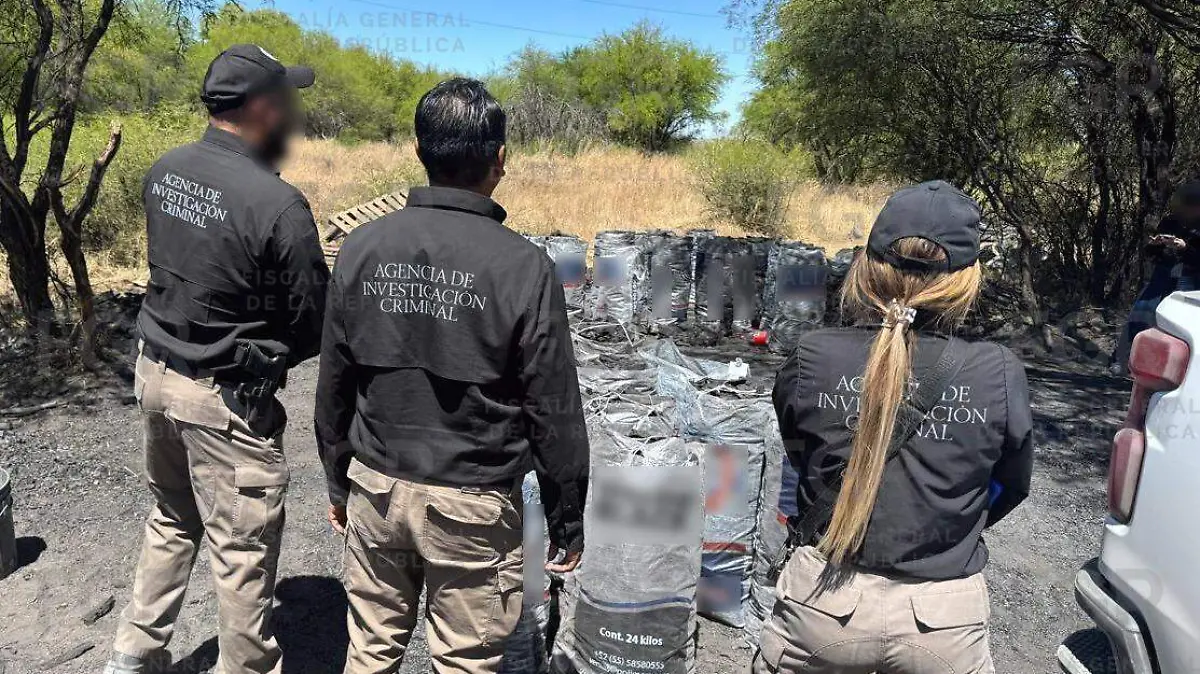 WhatsApp Image 2026-03-24 at 9.09.08 AM