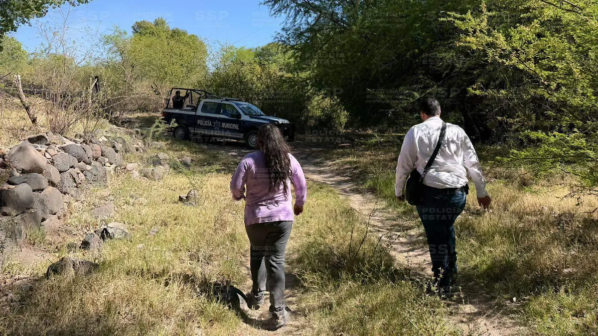 WhatsApp Image 2026-03-24 at 12.43.24 PM (1)