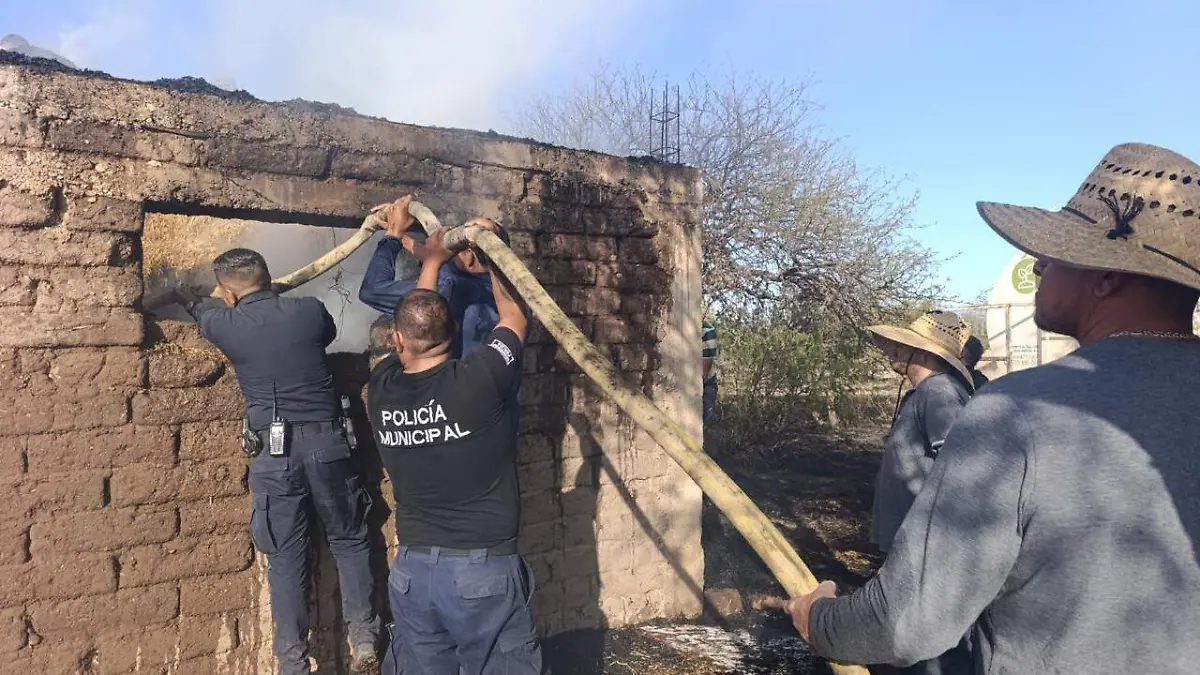 WhatsApp Image 2026-03-24 at 1.59.42 PM (2)