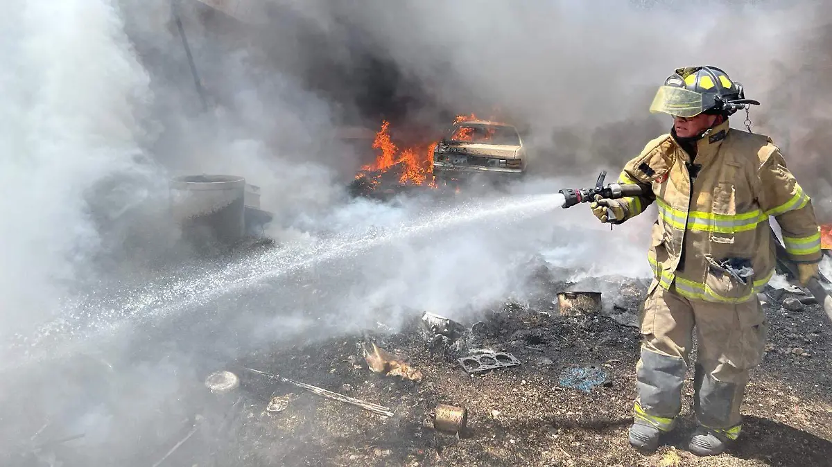 WhatsApp Image 2026-03-25 at 2.21.40 PM (1)