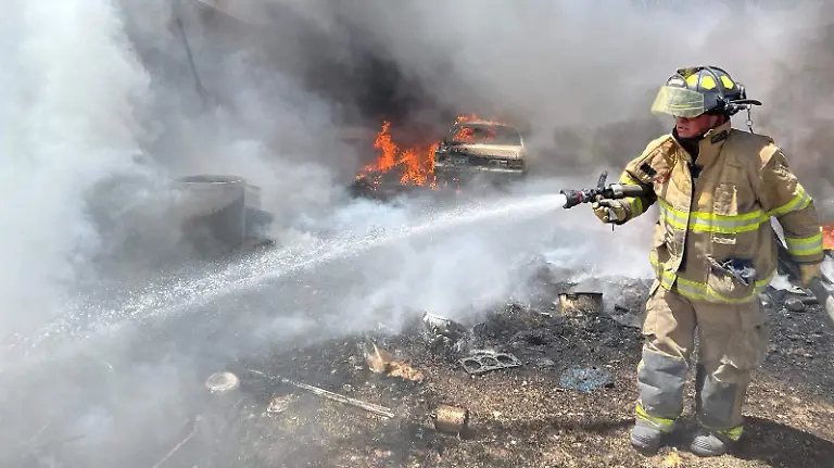 WhatsApp Image 2026-03-25 at 2.21.40 PM (1)