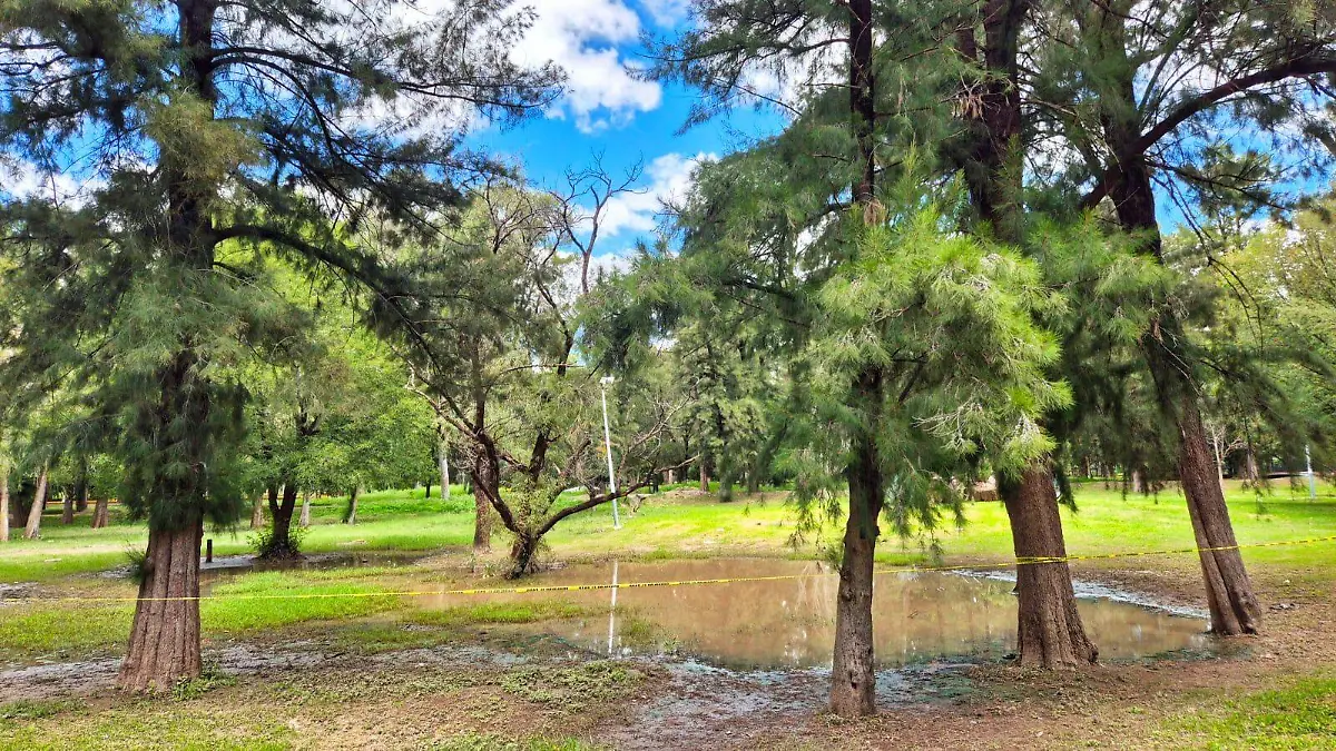 WhatsApp Image 2026-03-25 at 3.03.50 PM (1)