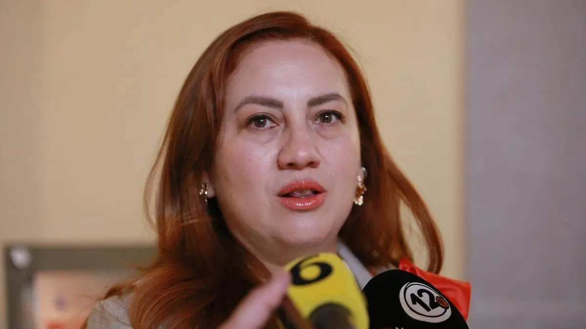 Laura Fabiola Bringas Sánchez