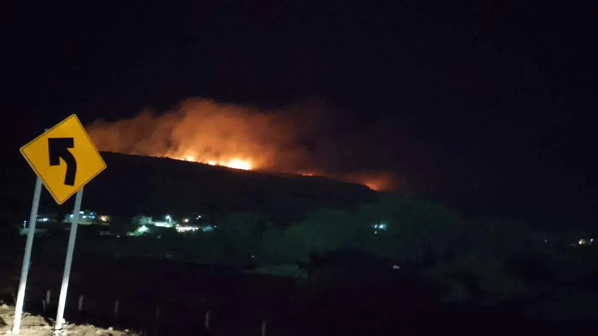 WhatsApp Image 2026-03-25 at 22.17.25