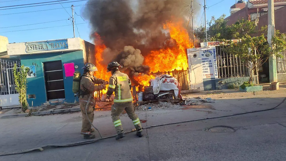 WhatsApp Image 2026-03-26 at 9.00.49 AM