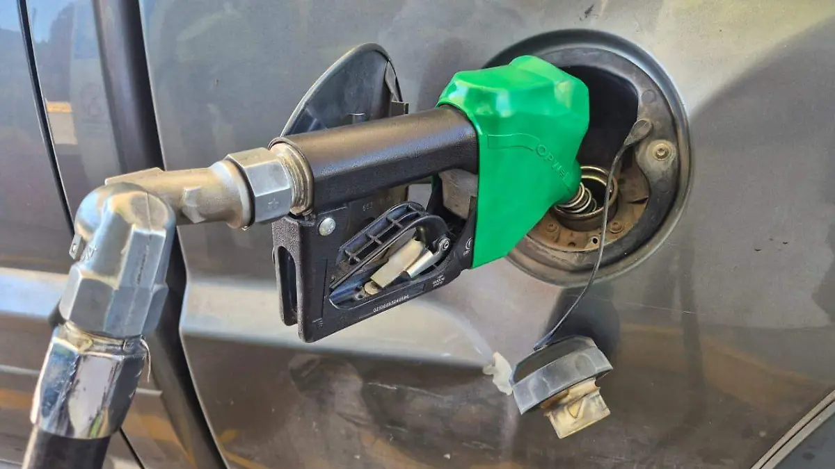 WhatsApp Image 2026-03-26 at 3.26.19 PM