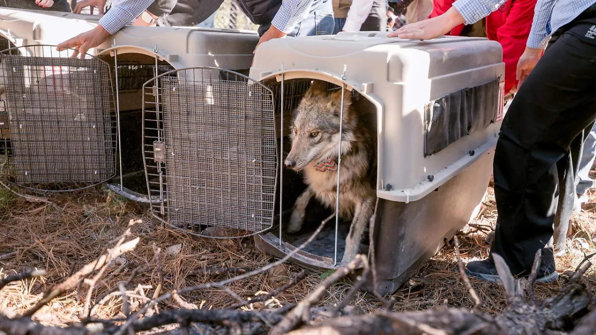 WhatsApp Image 2026-03-27 at 4.56.12 PM