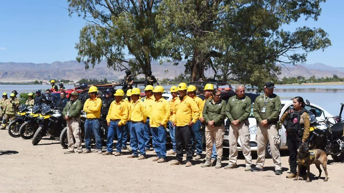 WhatsApp Image 2026-03-27 at 7.00.37 PM