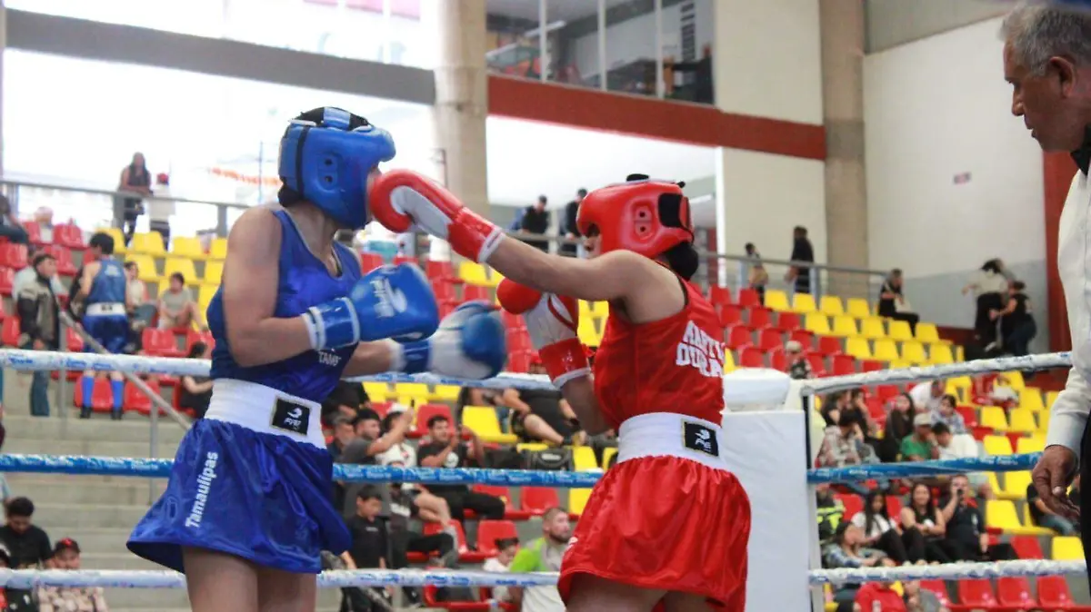 Regional de Box 