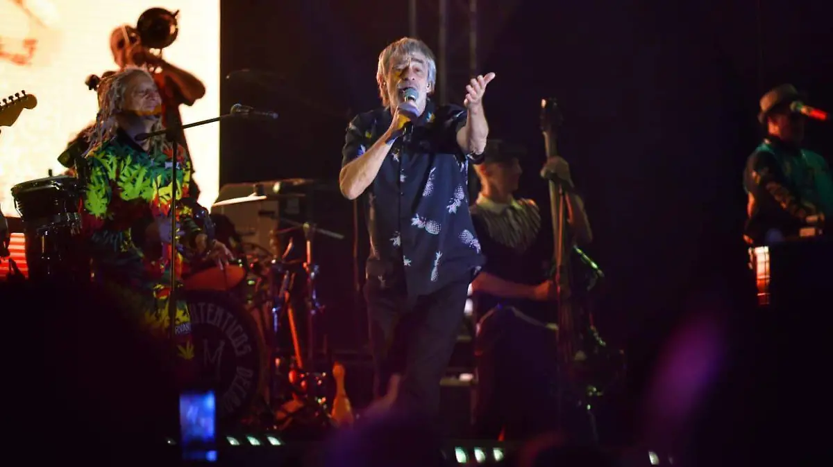 WhatsApp Image 2026-03-28 at 21.05.08 (1)