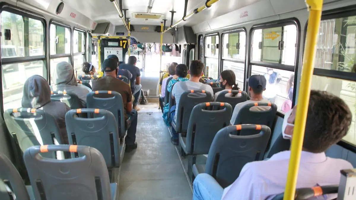 Transporte público- camión- autobús