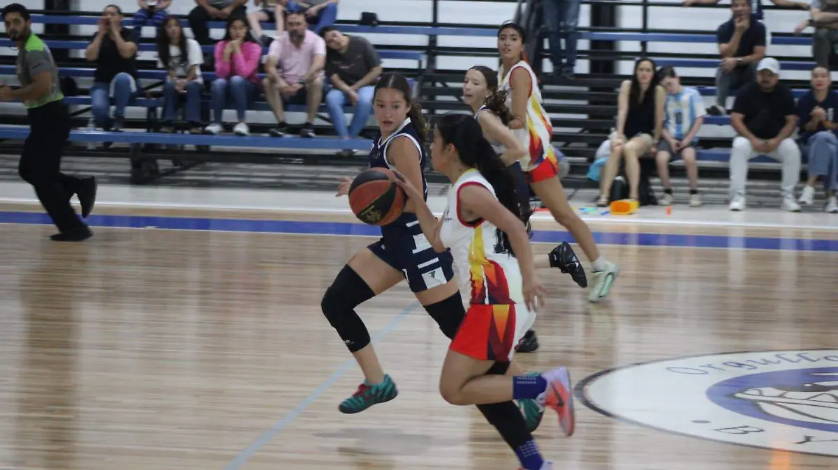 WhatsApp Image 2026-03-29 at 4.14.33 PM