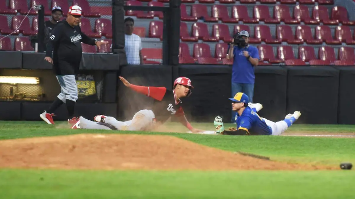 WhatsApp Image 2026-03-29 at 4.31.01 PM (1)