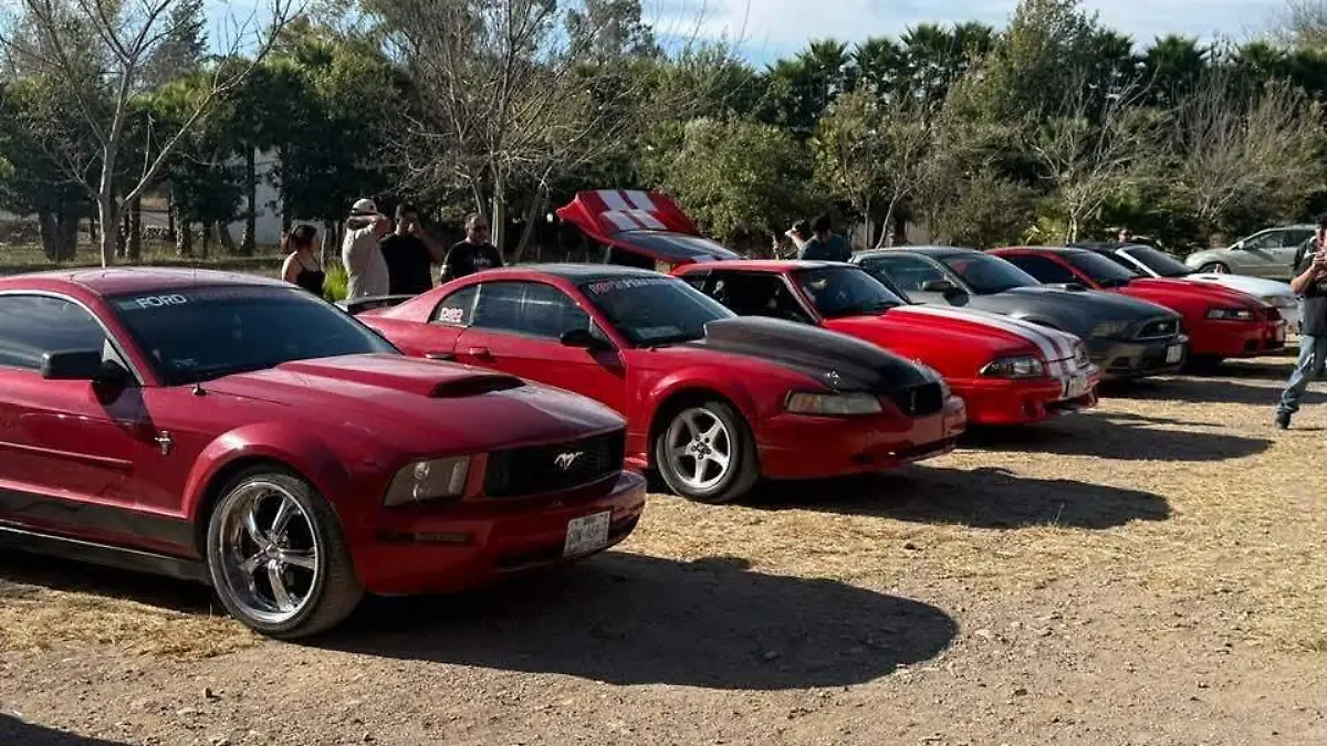 658981487_2161071564724924_6259533445828262867_n