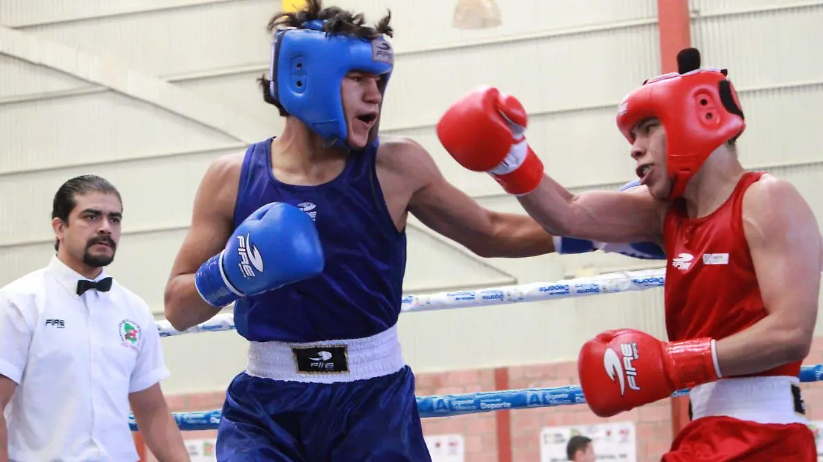 WhatsApp Image 2026-03-29 at 4.52.16 PM