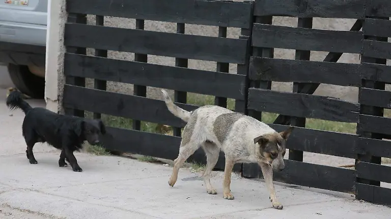 WhatsApp Image 2026-03-30 at 17.30.03