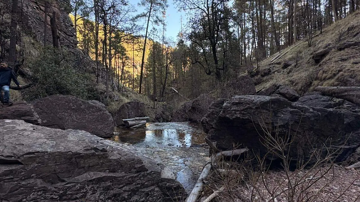 WhatsApp Image 2026-03-30 at 19.12.21