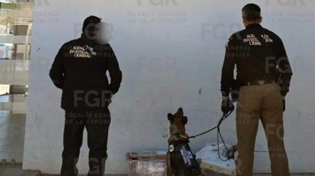 WhatsApp Image 2026-03-31 at 9.11.20 AM