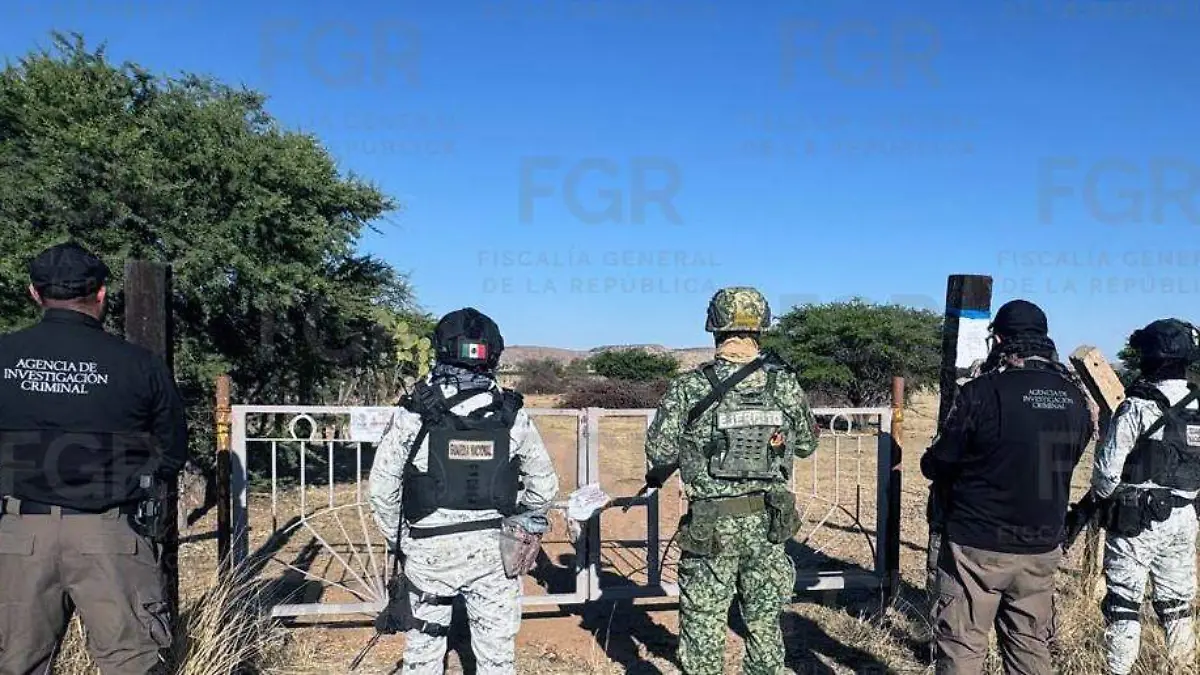 WhatsApp Image 2026-03-31 at 9.11.10 AM